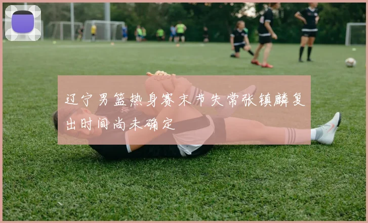 辽宁男篮热身赛末节失常张镇麟复出时间尚未确定